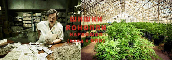 молекула духа Киренск